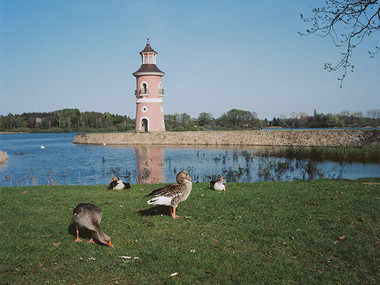 Leuchtturm Moritzburg mit Enten