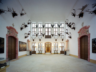Kamenný sál s loveckými trofejemi na zámku Moritzburg